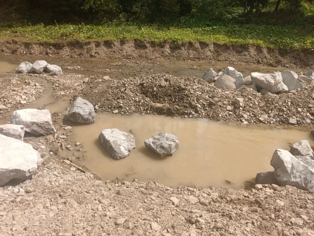 Potok Rycerski "rozjechany niczym autostrada". Mogło zginąć kilka tysięcy ryb