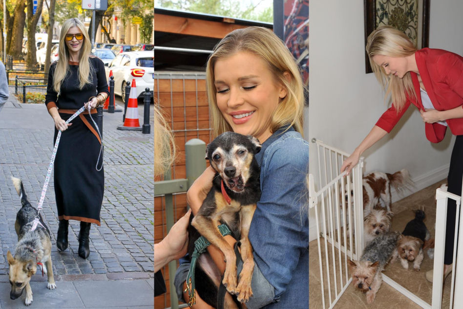 Joanna Krupa. Bydlaki, potwory, ohydni ludzie!