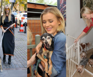 Joannie Krupie PUŚCIŁY HAMULCE! Bydlaki, potwory, ohydni ludzie. Dalej już wulgaryzmy