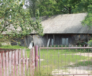 Wyrżnął rodzinę dla 4000 złotych