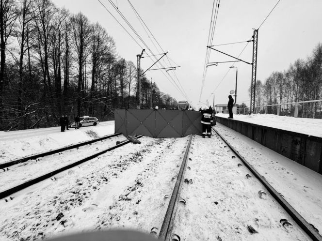 Śmiertelny wypadek na torach