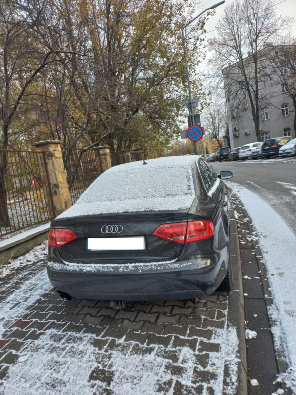 Tak parkują "miszczowie parkowania" z Katowic. Strażnicy miejscy rozkładają ręce 