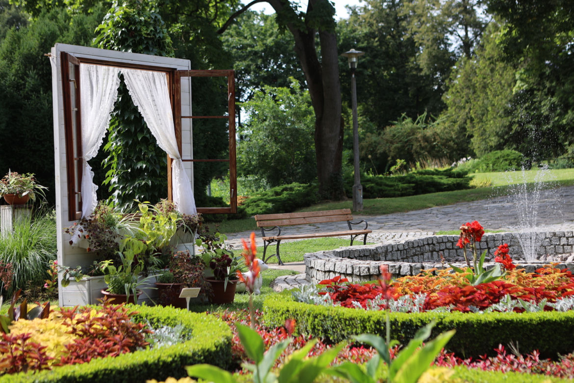 Kwitnący Ogród Botaniczny UMCS w Lublinie