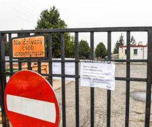 Cmentarze 1 listopada zamknięte dla niezaszczepionych. Kontrowersyjna rada eksperta. Rząd już podjął decyzję!