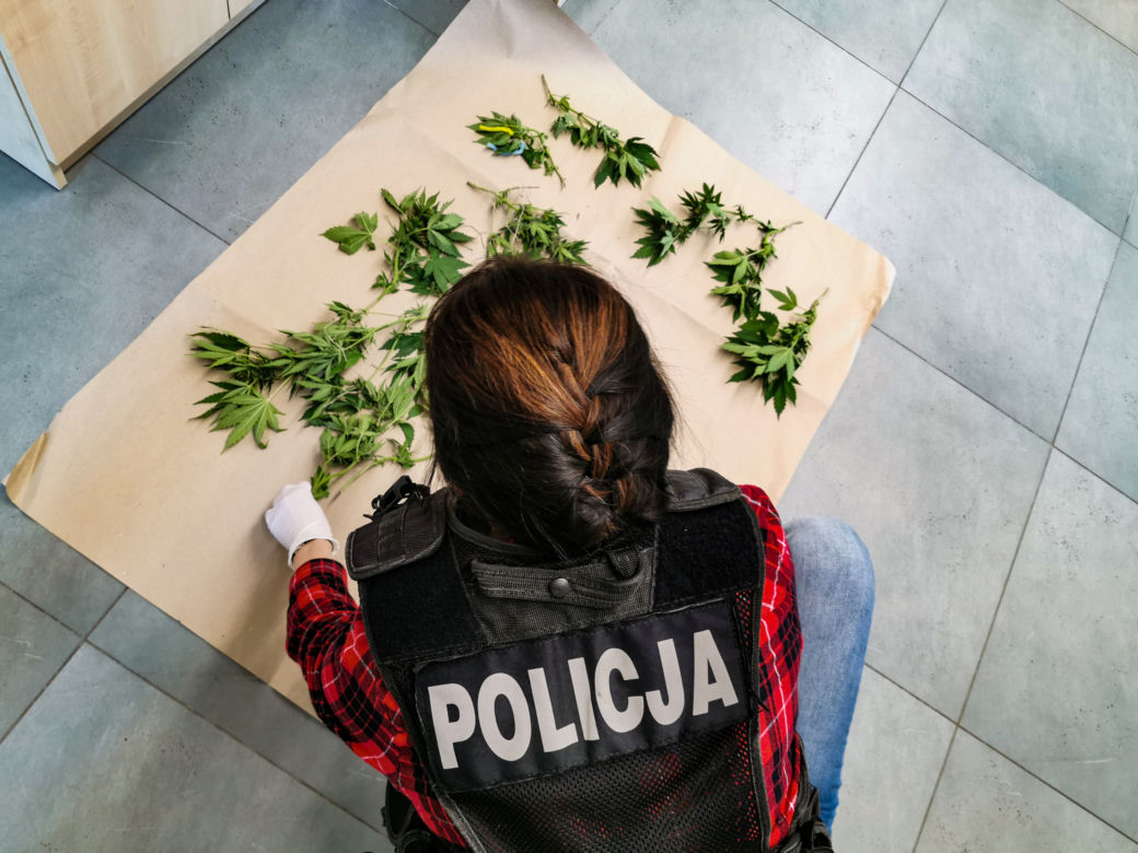 Białystok. Policja weszli do piwnicy. Jej właściciel będzie miał teraz kłopoty