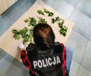 Białystok. Policja weszli do piwnicy. Jej właściciel będzie miał teraz kłopoty