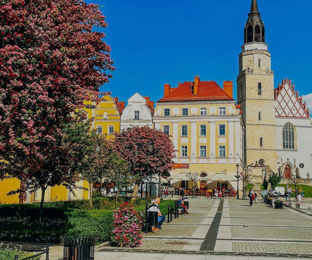 Najszczęśliwsze miasto w województwie dolnośląskim. Tak zdecydowała AI 