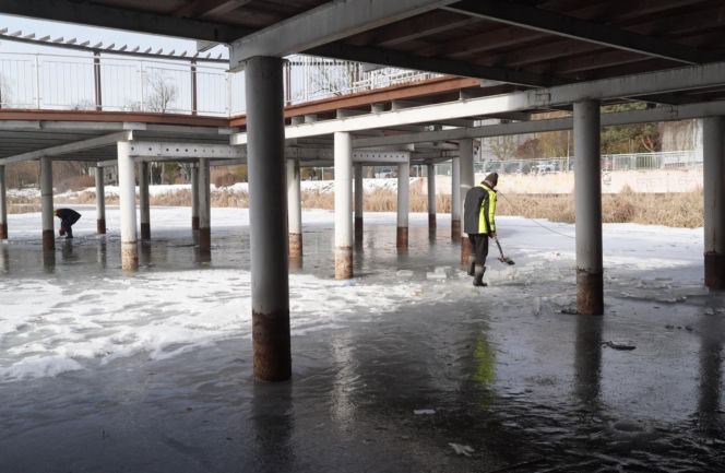 Rybi dramat w Białymstoku. Tysiące martwych ryb pod lodem