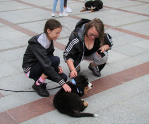 Barwna parada psów w Tarnowie! Tyle słodziaków w jednym miejscu!