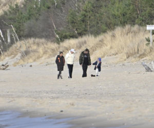 Prawdziwe paparazzi Rozenków nad morzem