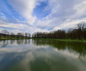 Centrum Paderewskiego w Kąśnej Dolnej