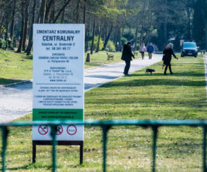 Koronawirus w Trójmieście. Zamiast po parku, plaży czy lesie ludzie spacerują po cmentarzach