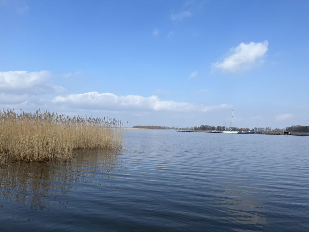 Kąpielisko i Jezioro Dąbie