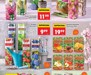 Biedronka - gazetka promocyjna 9.03.2026