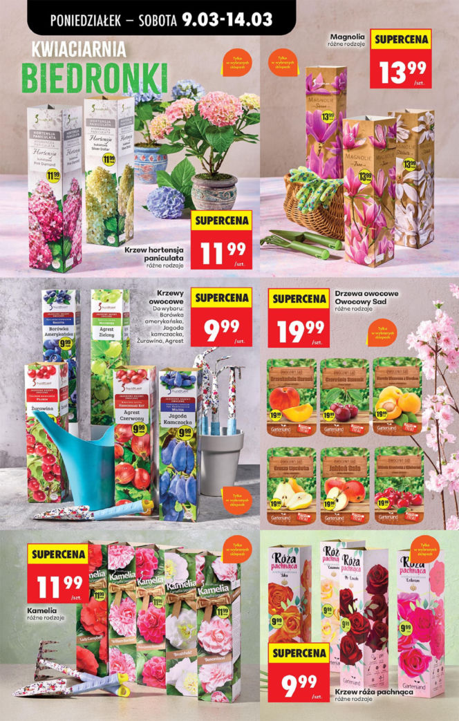 Biedronka - gazetka promocyjna 9.03.2026