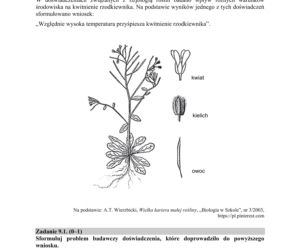 Matura 2020 ARKUSZE CKE z biologii POZIOM ROZSZERZONY 