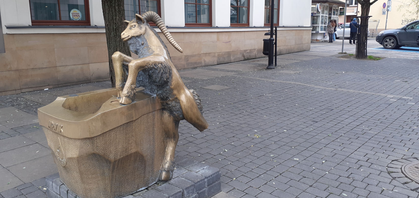 Ten koziołek nie skakał, a ma złamaną nóżkę. Co dalej z lubelskim poidełkiem? 