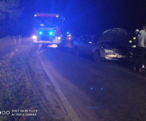 Bodzanów. Pijana jak bela wiozła małe dziecko! Nagle zjechała na przeciwny pas... [ZDJĘCIA]