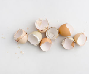 Wyrzucasz skorupki po jajkach? Zamias tego, zrób z nich domowy nawóz