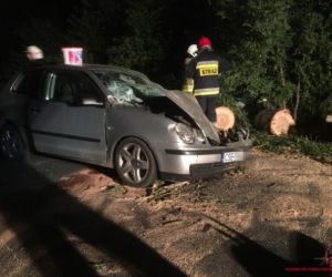 Drzewo runęło na jadący samochód w regionie! Jedna osoba poszkodowana [ZDJĘCIA]