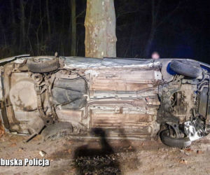 Szaleńcza ucieczka 22-latka przed lubuską policją zakończona na drzewie