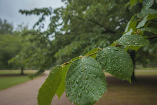 Aura w Krakowie może pokrzyżować plany na weekend. Prognoza pokazuje ważny szczegół