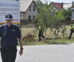 Do poszukiwań Dawidka zostały włączone specjalne psy niemieckiej policji