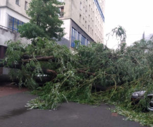 Pogodowy armagedon nie ma końca. Burze i deszcz nie odpuszczają. Alerty dla połowy Polski! Radar pogodowy online [IMGW na 12.06.2026]