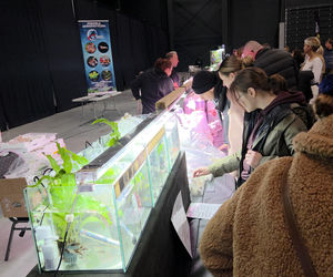 Egzotyczny świat zawitał do Bydgoszczy! Pająki i węże były na wyciągnięcie ręki