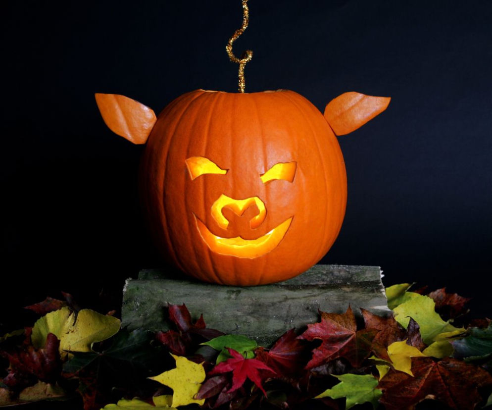 dynia-na-halloween 3