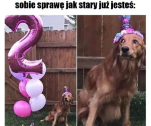 MEMY na urodziny! Zobacz najśmieszniejsze obrazki w internecie [GALERIA]