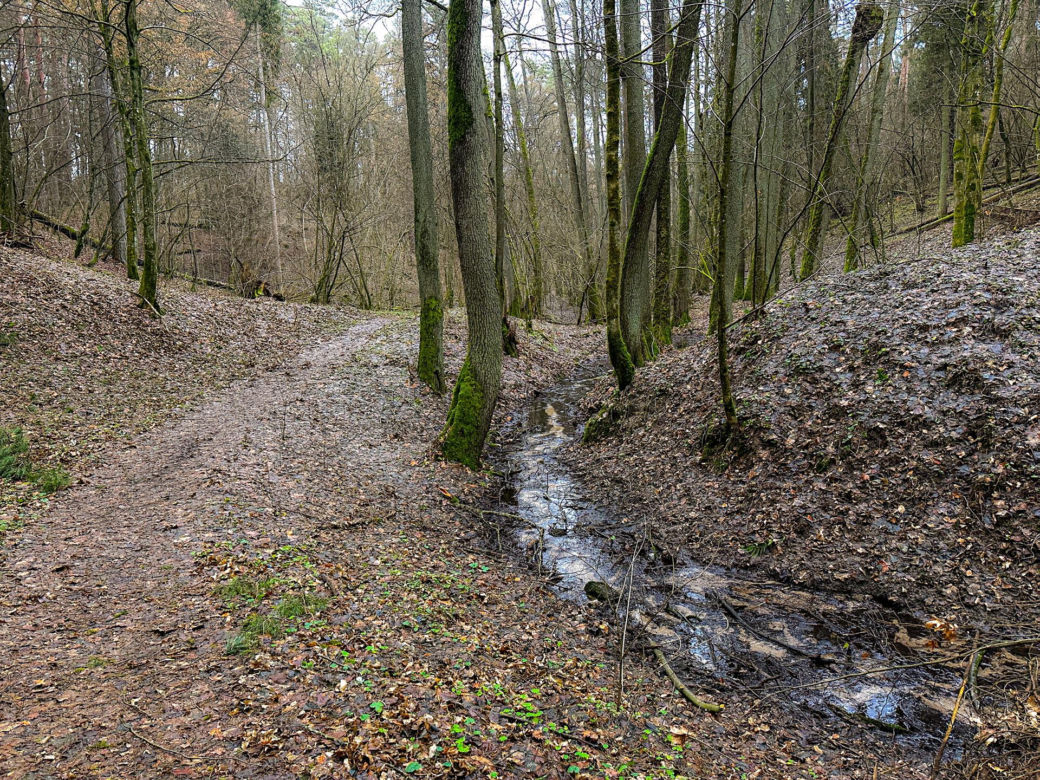 Rzeka Łyna