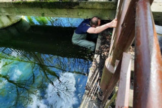 Skok z okna na trzecim piętrze i ucieczka do kanału! Strażnicy uratowali kota z opresji