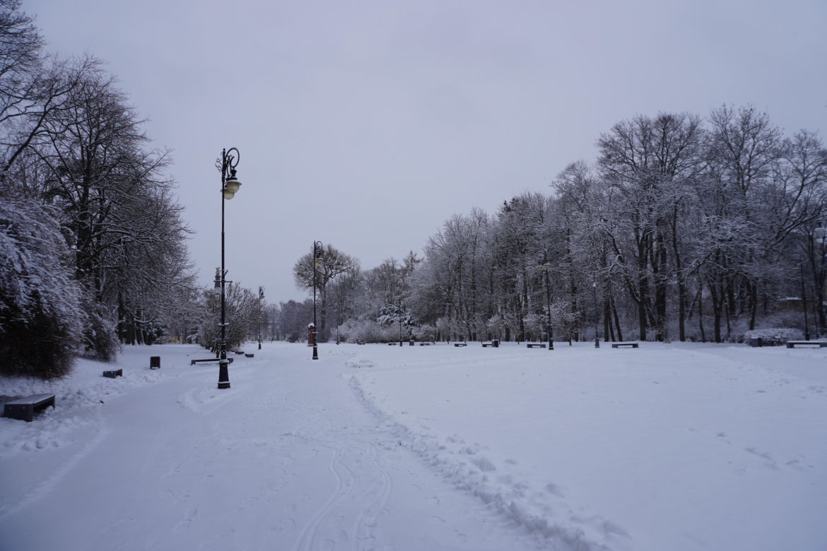 Białystok pod śniegiem. Tak prezentuje się zasypana stolica Podlasia