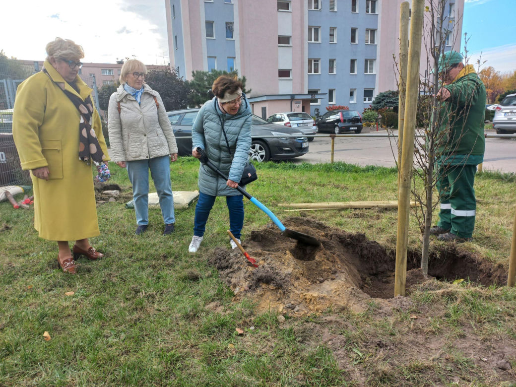 W młodym parku w Lesznie posadzono kolejne drzewa. Każde ma swoją tabliczkę
