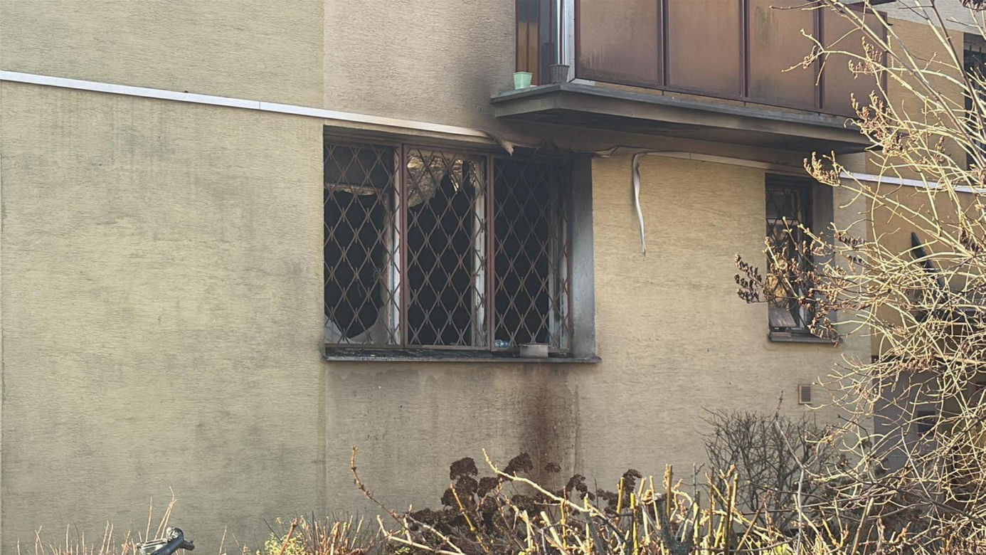 Pożar mieszkania na parterze. Strażacy z ognia wynieśli przerażonego kota
