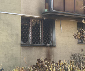 Pożar mieszkania na parterze. Strażacy z ognia wynieśli przerażonego kota