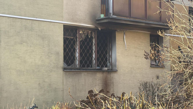 Pożar mieszkania na parterze. Strażacy z ognia wynieśli przerażonego kota