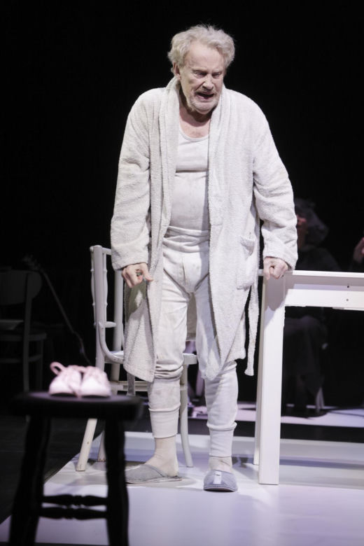 Daniel Olbrychski