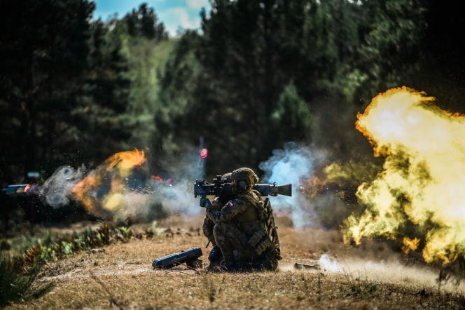 Przełomowy rok WOT: Terytorialsi na granicy, w powodzi i z nowym sprzętem