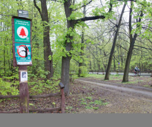Las Bielański do zamknięcia!