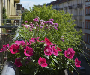 Odświeżamy balkon na wiosnę