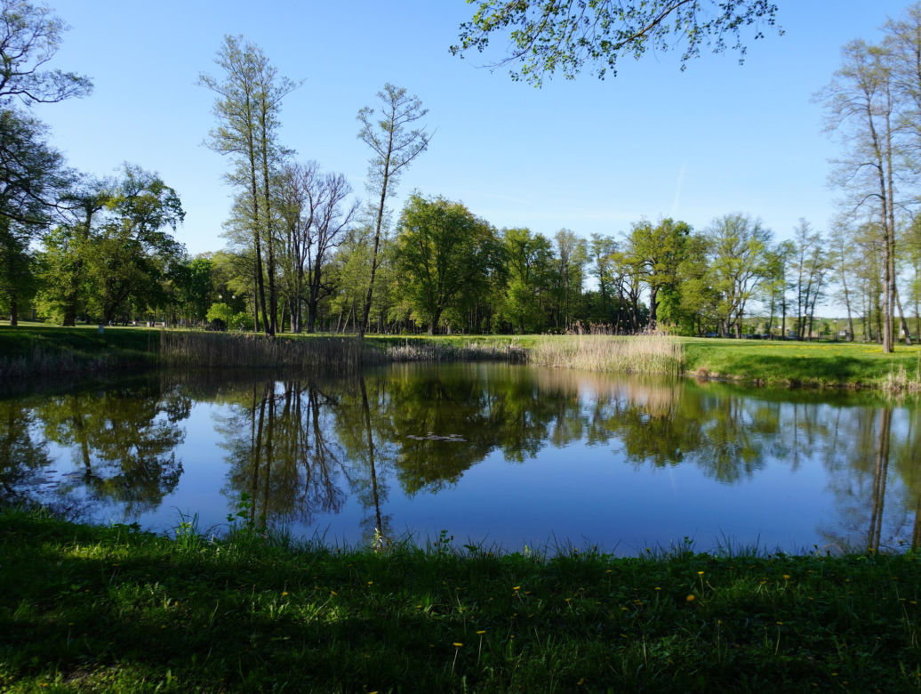 Park miejski w Opolu Lubelskim