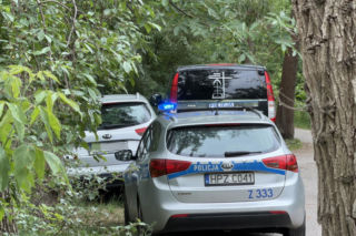 Mężczyzna przygnieciony drzewem przy Moście Poniatowskiego w Warszawie