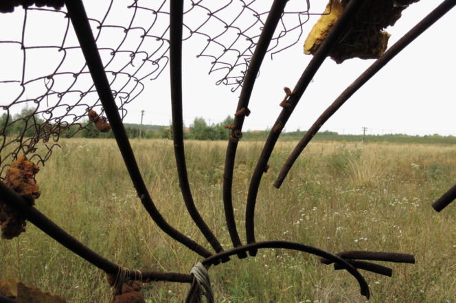 Gigantyczna truskawka leży w polu pod Warszawą