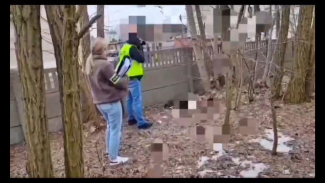 Miesiącami znęcał się nad swoją partnerką, nie oszczędził też jej psa. Wyrzucił Maltańczyka przez okno!