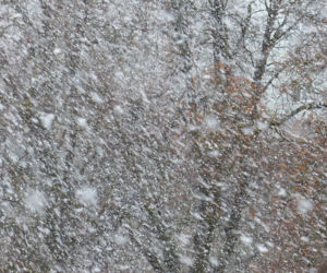 Burze śnieżne w USA. Ambasada RP ostrzega 