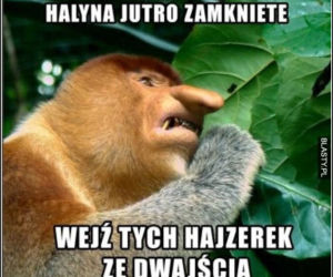 Majówka 2020 - zapamiętamy ją na długo!