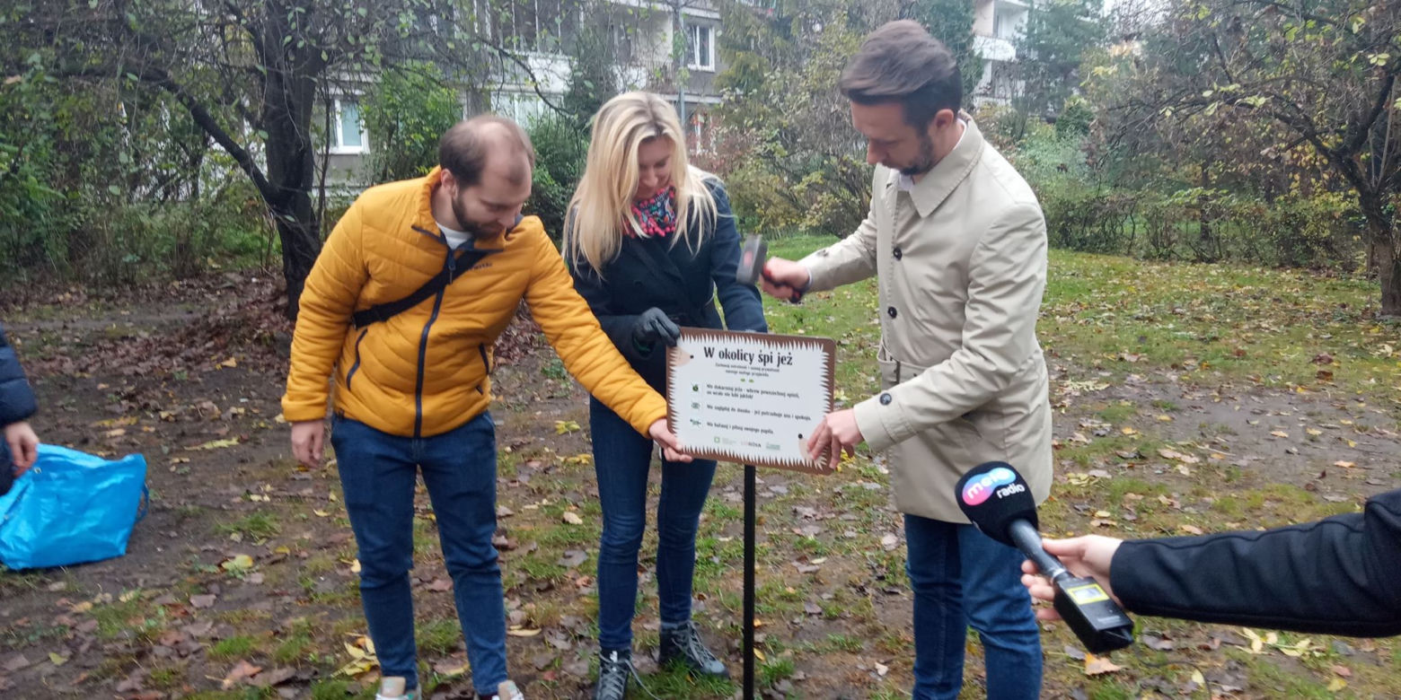 Domki dla jeży na Grzegórzkach