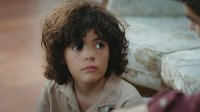 Dziedzictwo, odc. 878. Poyraz, Yusuf